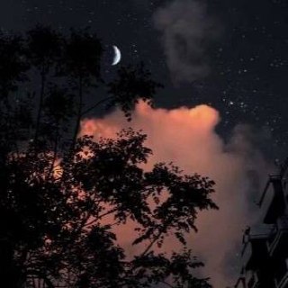 بهروز عاشقی دلم خوش بود